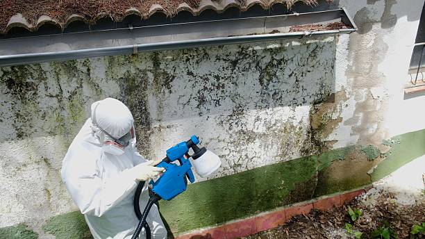 Top rated local Attic Mold Remediation specialists in Harwood, MD